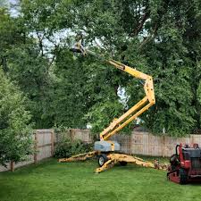 Lawn Irrigation Installation and Maintenance in Tres Arroyos, NM